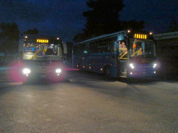 20090228_autobus.jpg